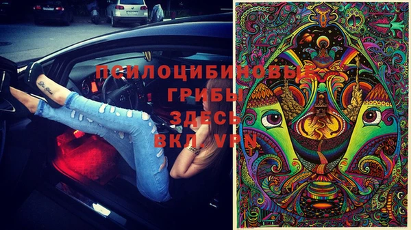 ПСИЛОЦИБИНОВЫЕ ГРИБЫ Абдулино