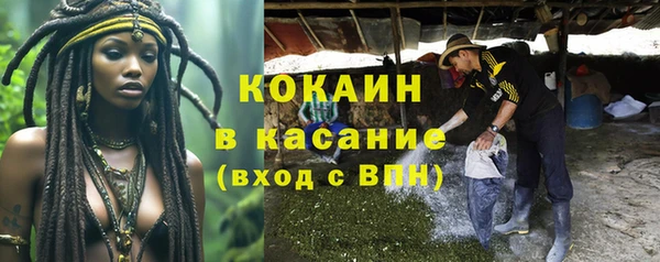 ПСИЛОЦИБИНОВЫЕ ГРИБЫ Абдулино