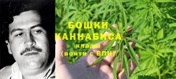 ПСИЛОЦИБИНОВЫЕ ГРИБЫ Абдулино