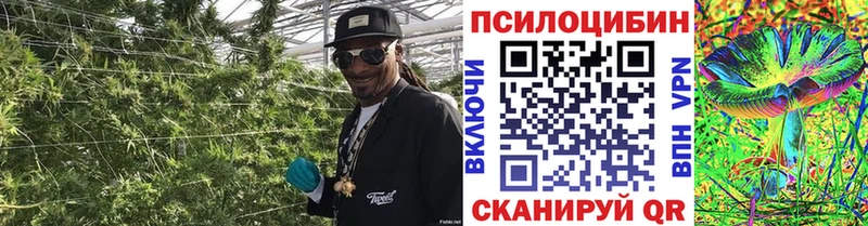купить  сайты  Болохово  Псилоцибиновые грибы GOLDEN TEACHER 
